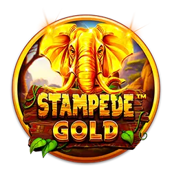 s777 how to bet in basketball